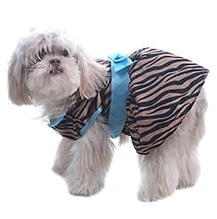 Fantasia Fashion p/ Cachorro