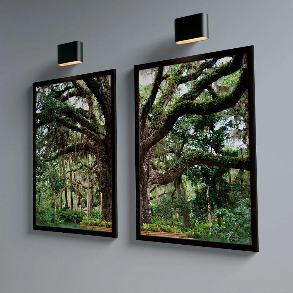 Quadro Decorativo Dupla árvore No Parque