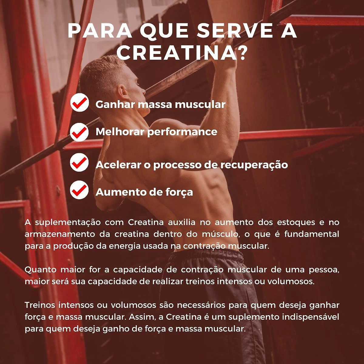 Creatina 300G Creatine Pure Monohydrate Powder Hibull