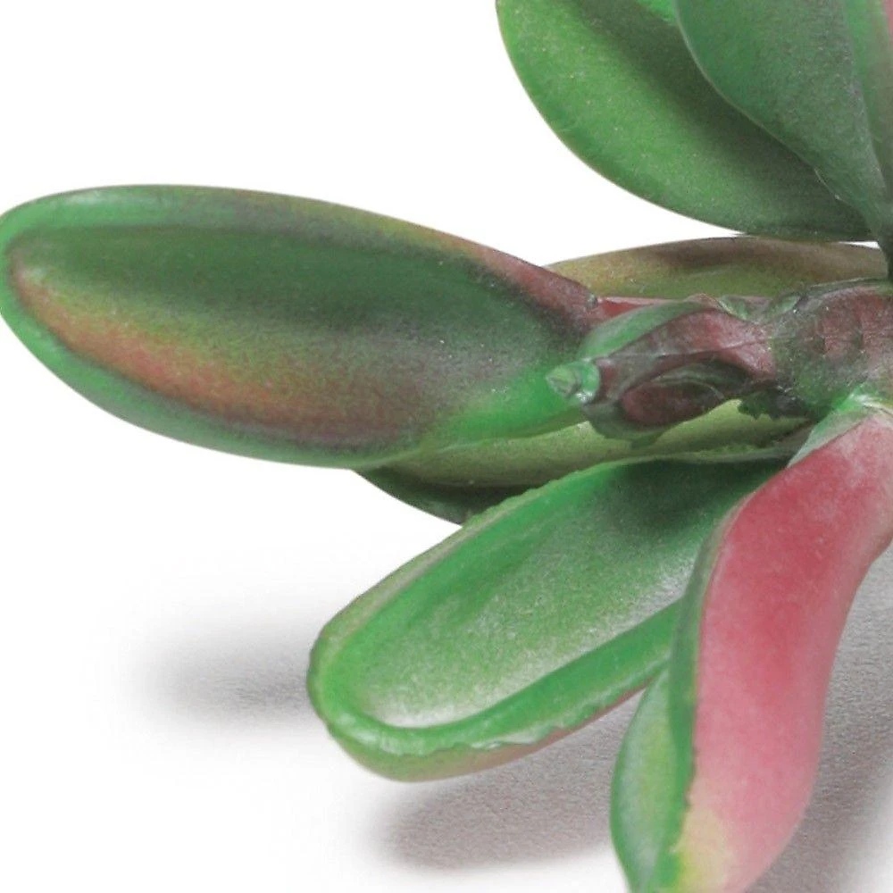 Suculenta Artificial Decorativa 10,5 X 6cm