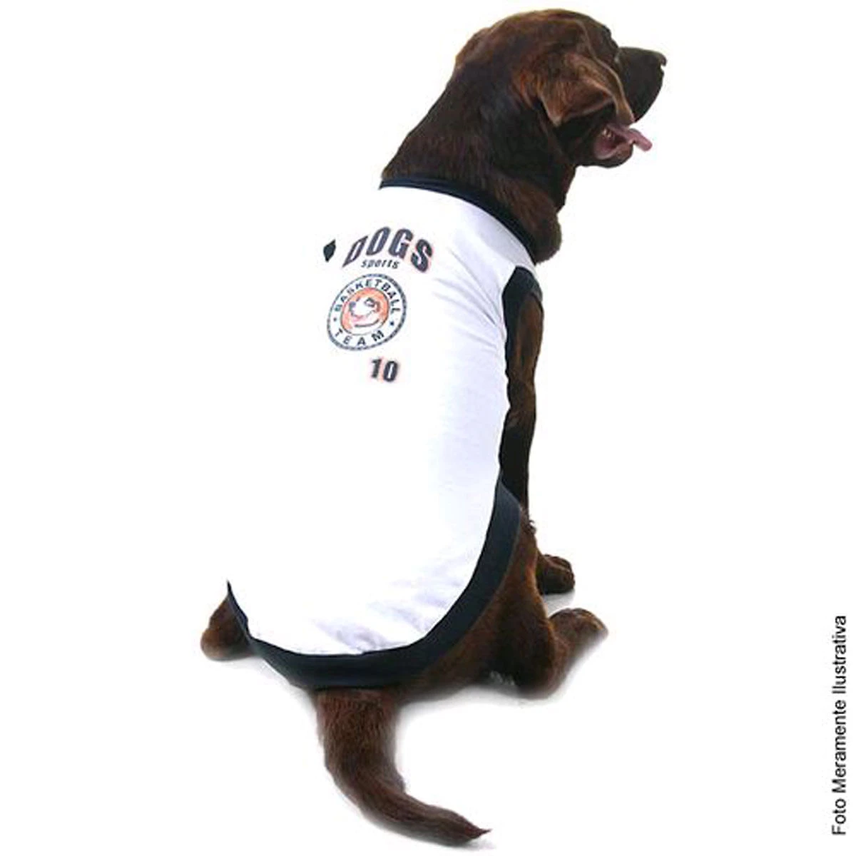 Fantasia Basket Team – Super Pet