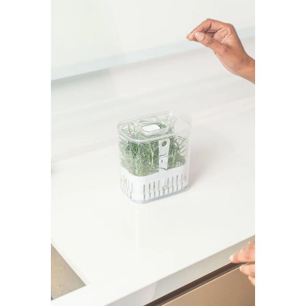 Organizador De Temperos Com Cesto Clear 1,5l 10x14,5x15cm