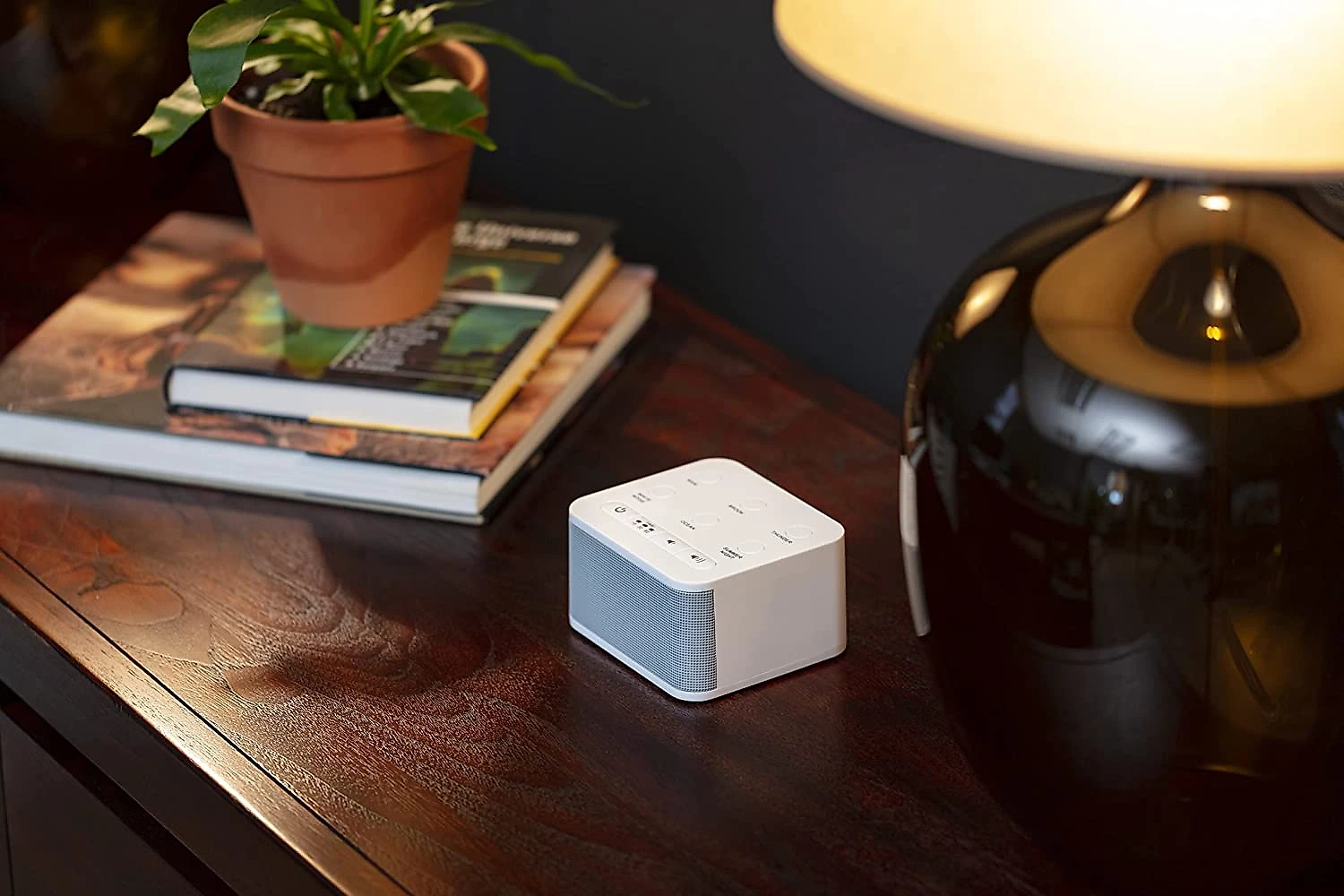 Big Red Rooster Máquina de Ruído Branco para Dormir 6 Sons c om Luz Ambiente Programável 110V