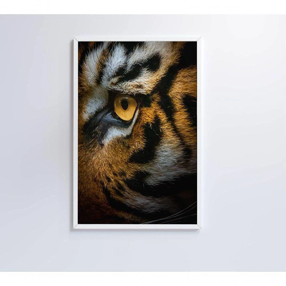 Quadro Olho Do Tigre 60x90 Cm Adesivo Fotográfico