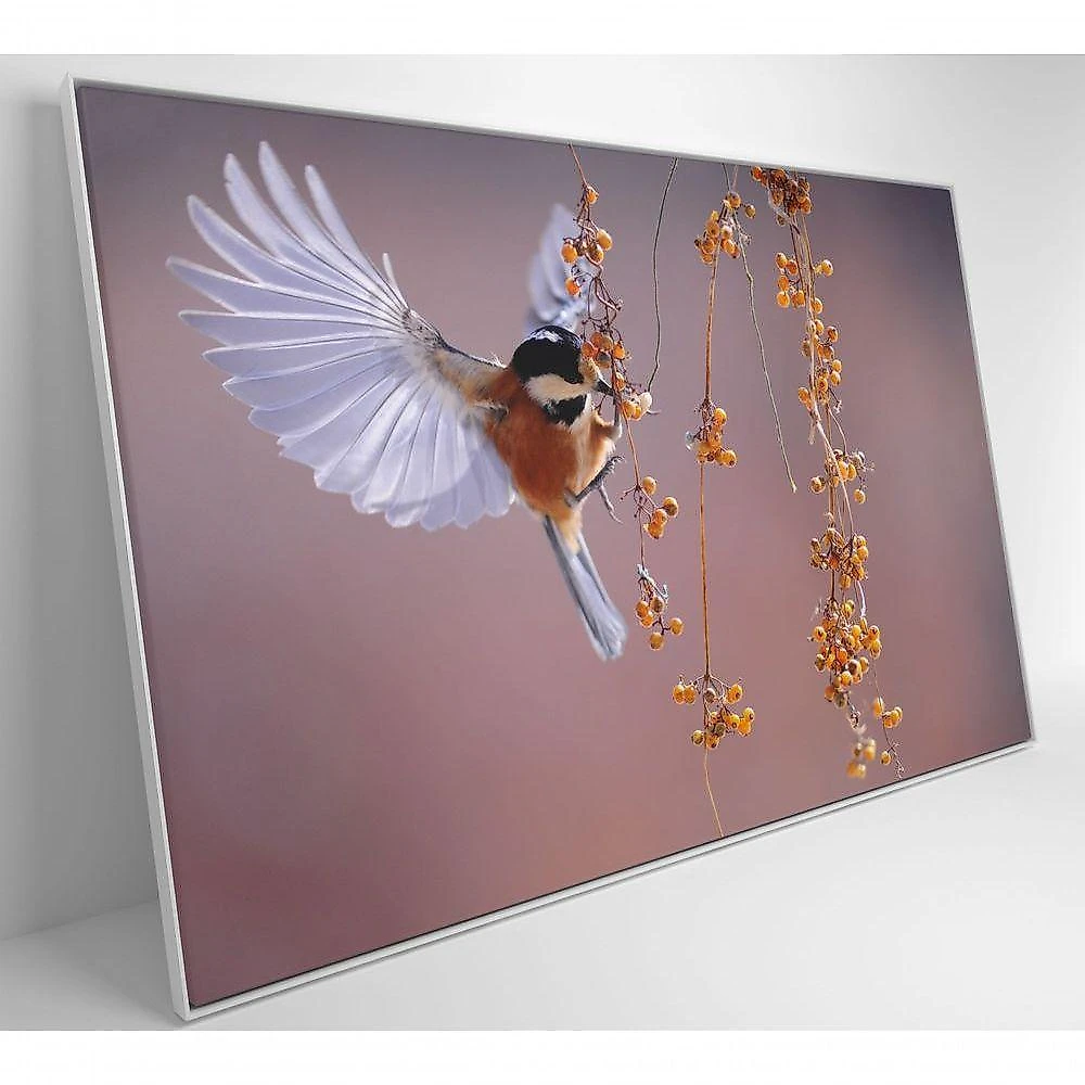 Quadro Beija Flor 120x80 Cm Tecido Canvas