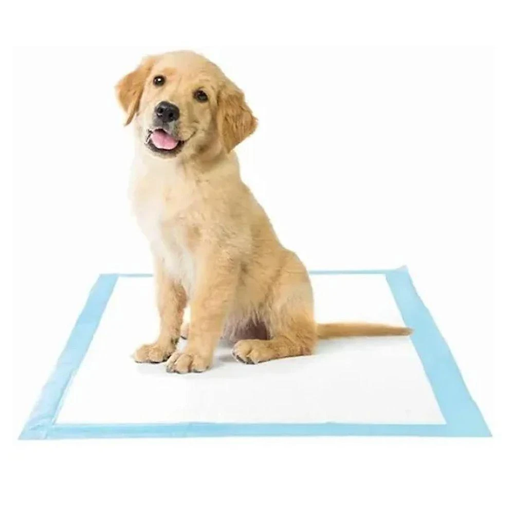 Tapete Higienico Cao Pet Cachorro 60x90 20 Unidades Animal De Estimaçao Antivazamento Treinamento Adestramento