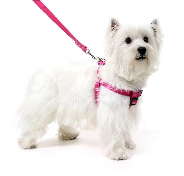Peitoral para Cachorros Antipuxão - Rosa