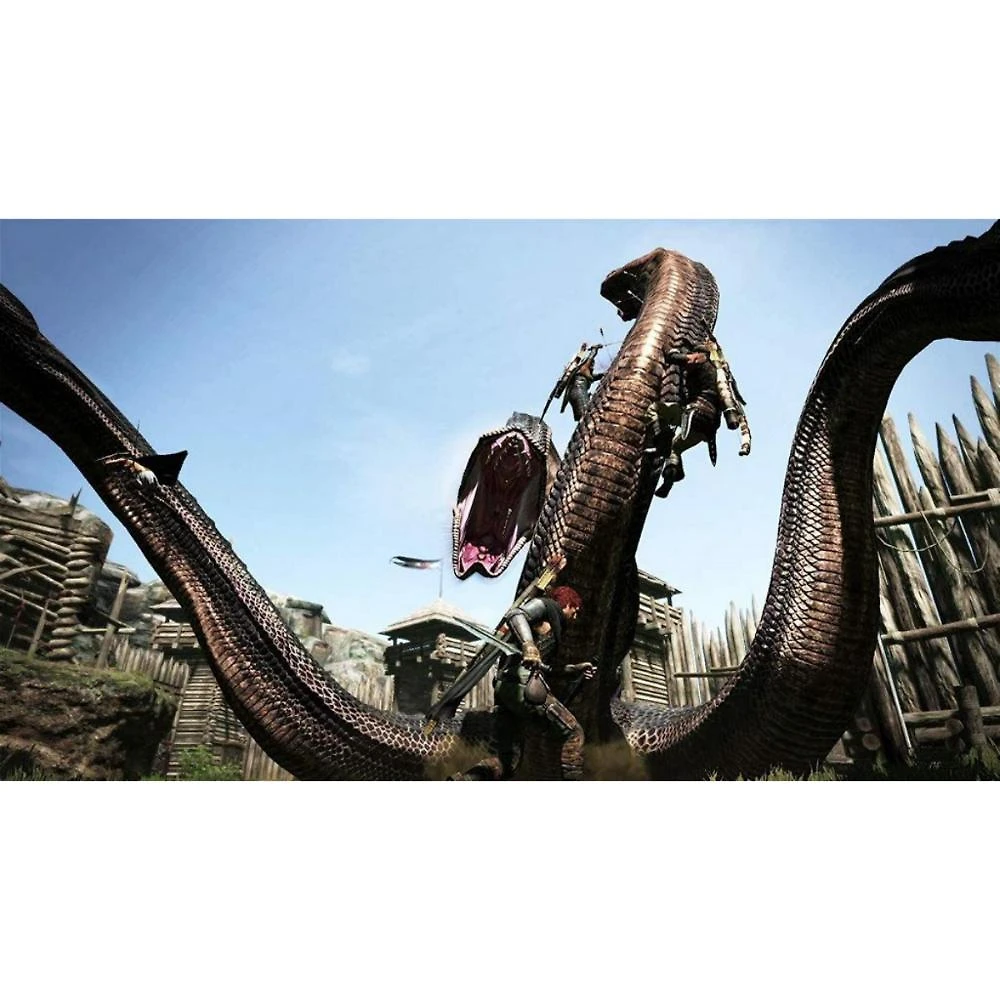 Dragon's Dogma Dark Arisen - Switch