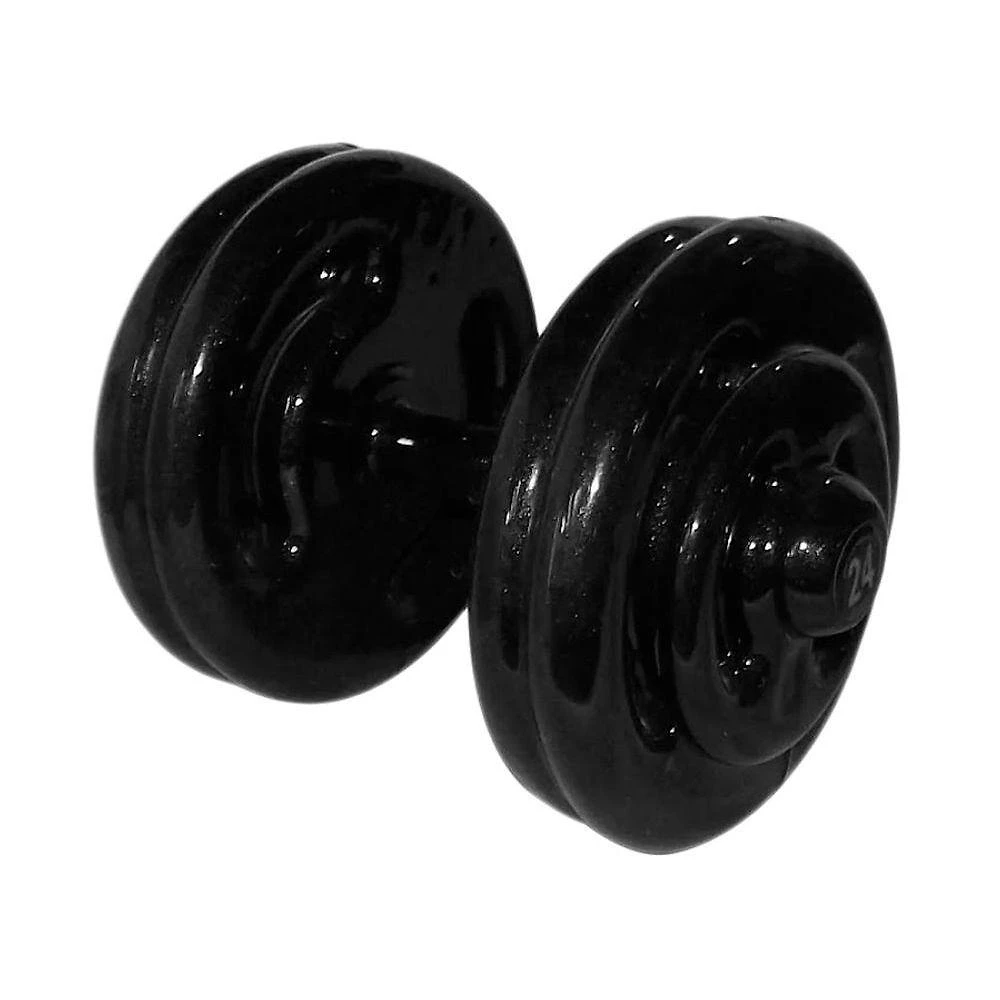 Dumbbell Emborrachado Treinamento Funcional Musculação 24kg Preto Anilhas Fitness