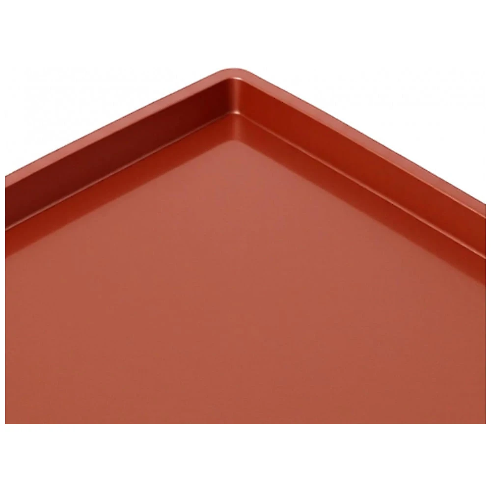 Bandejas Silicone Desidratador TAICHEUT Marrom Antiadherente Kit 10 Unidades 30x25cm