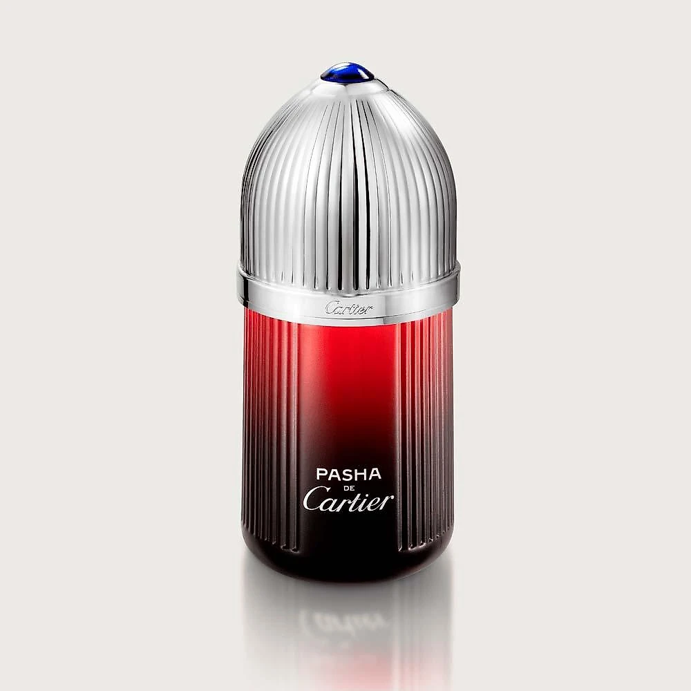 Pasha de cartier Édition noire sport cartier - perfume masculino - eau de toilette 100ml
