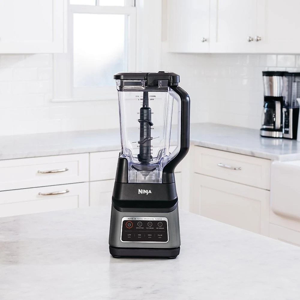 Liquidificador standalone 110v ninja prata - 110v (127v)