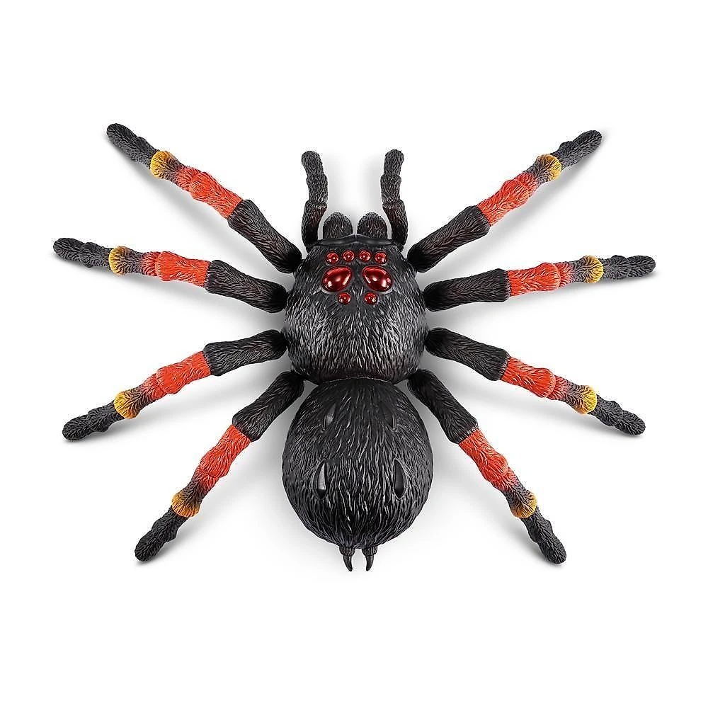 Aranha Gigante Robo Alive