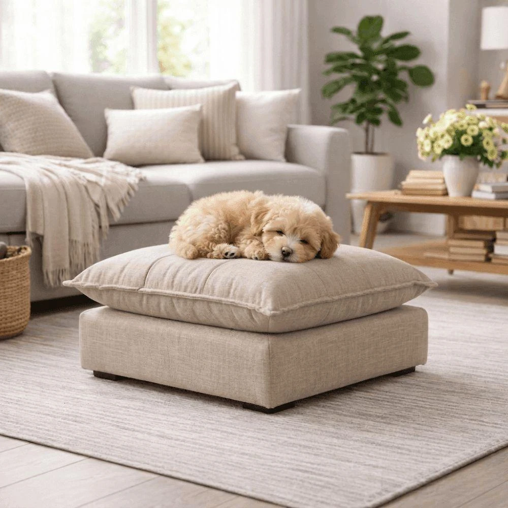 Cama Puff para Pet Black House Decor Cama Puff Pet Cachorro Gato Super Macio e Confortável Linho