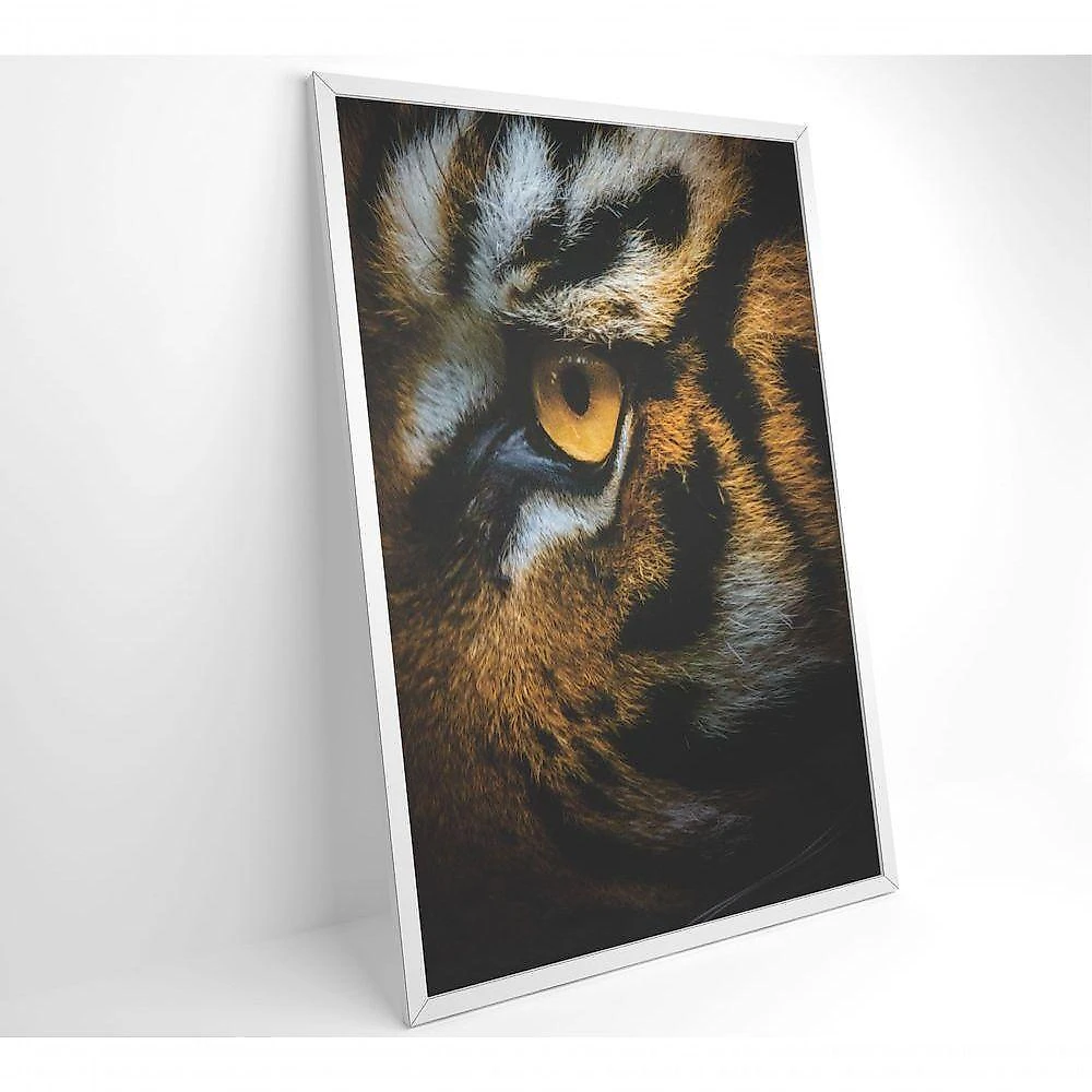 Quadro Olho Do Tigre 60x90 Cm Adesivo Fotográfico