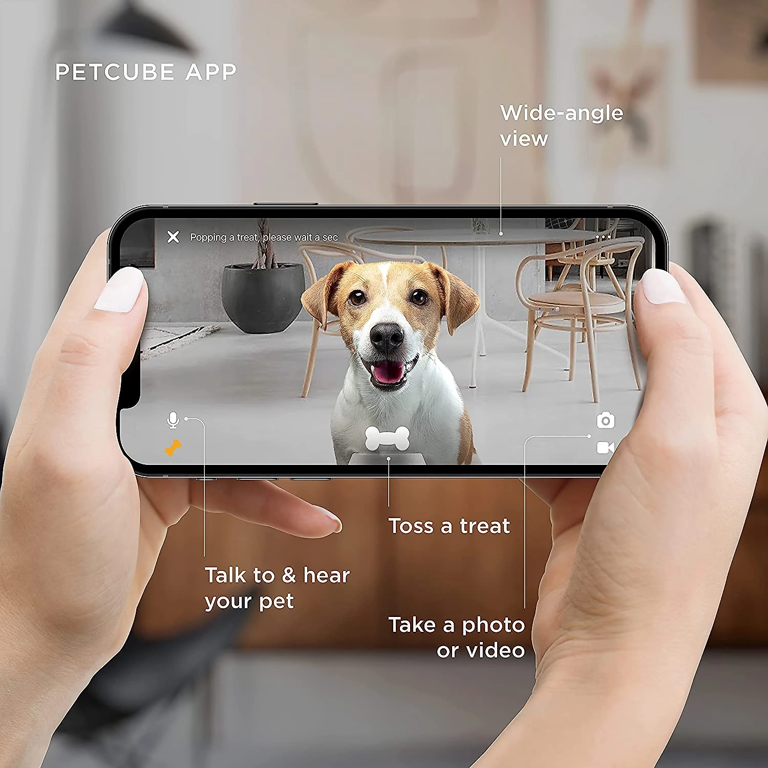 Petcube Câmera WiFi Remota 1080p com Dispensador de Petiscos Branco