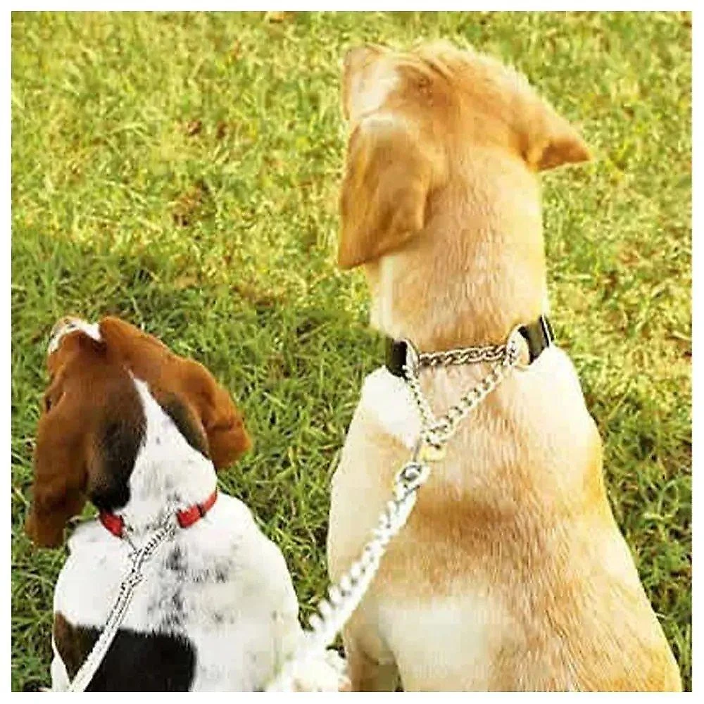 Coleira Ajustavel Cachorro Dog Kit Guia Passeio Corrente