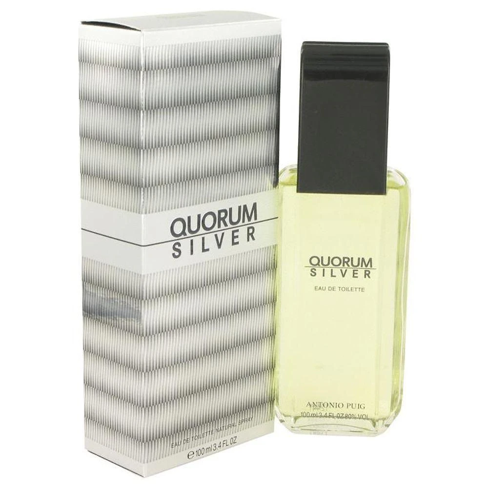 Perfume Masculino Quorum Silver Puig 100 Ml Eau De Toilette