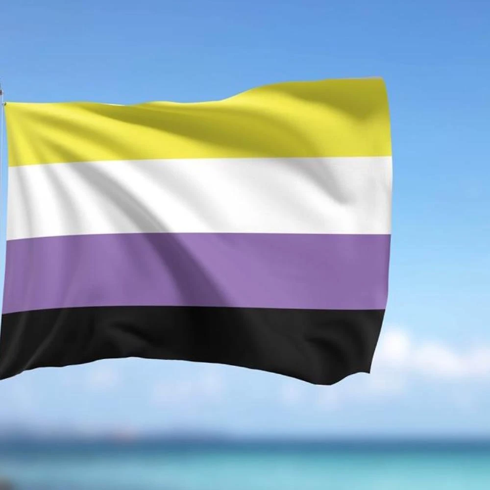 Miniatura Bandeira Gênero Não Binário 1,50X0,90Mt Lgbtqi+ Envio Já Ja