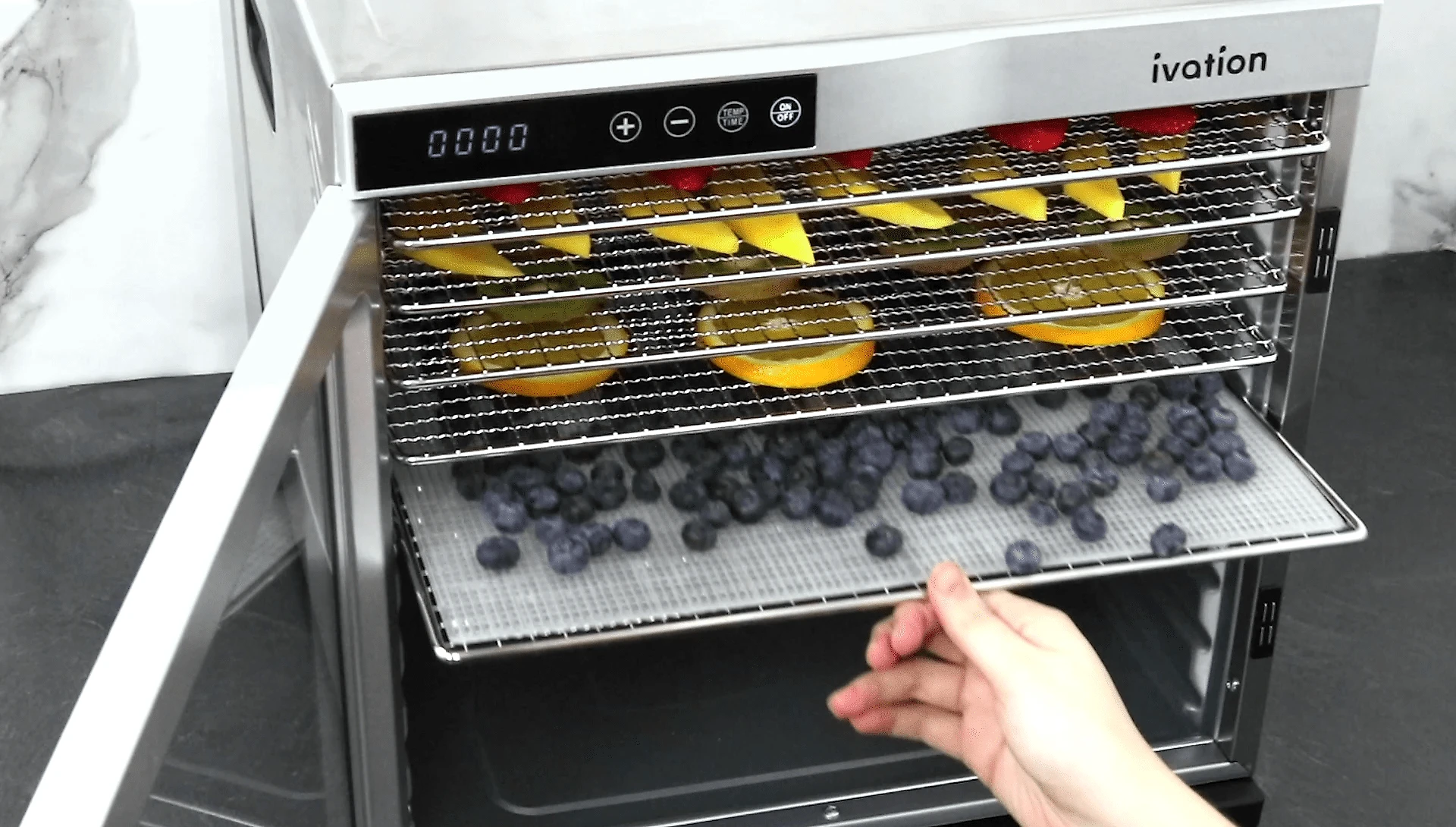 Ivation Desidratador de Alimentos 6 Bandejas Digital Prata e Preto 110V