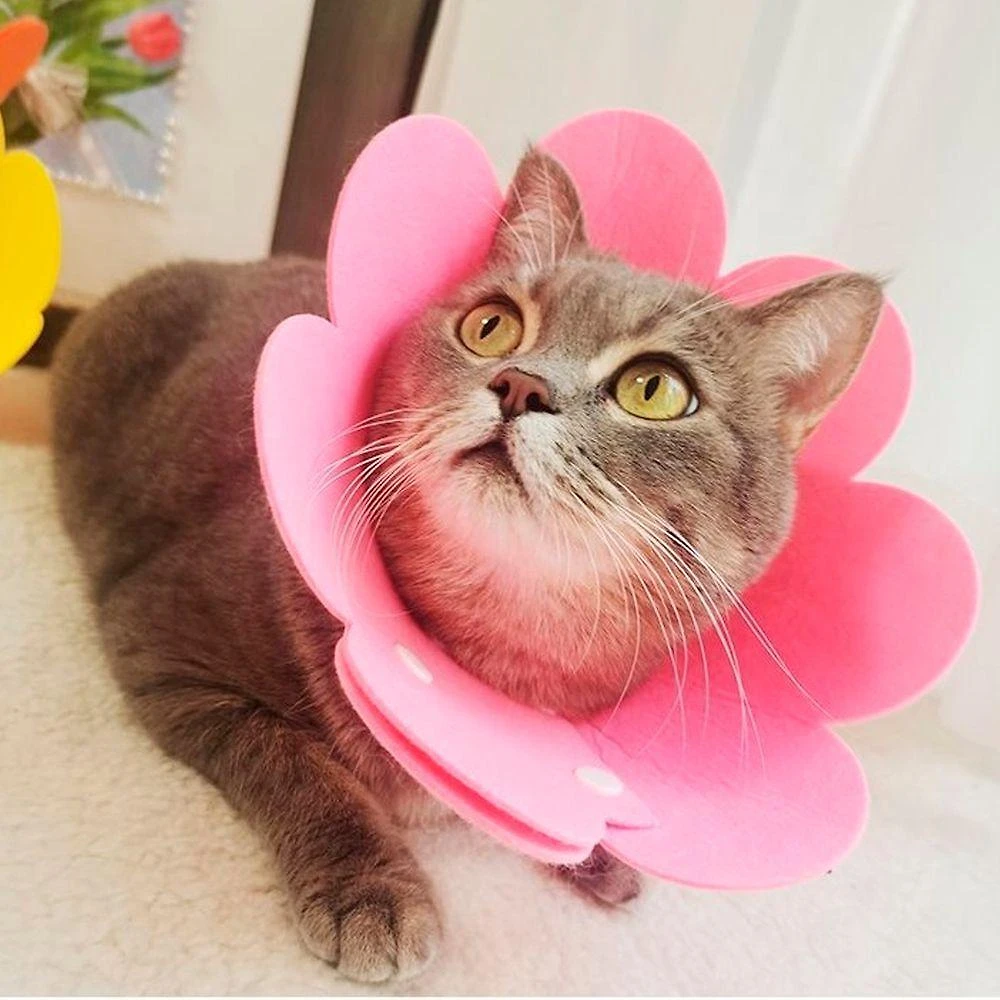 Colar Elisabetano Leva Pro Pet SU-ZABE2 para Gato e Cachorro Pequeno Porte EVA Rosa 20G