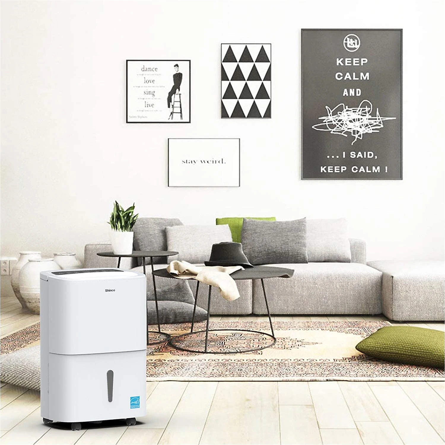 Desumidificador Shinco Energy Star Espaço de 464m2 Remoção 70L Branco 110V