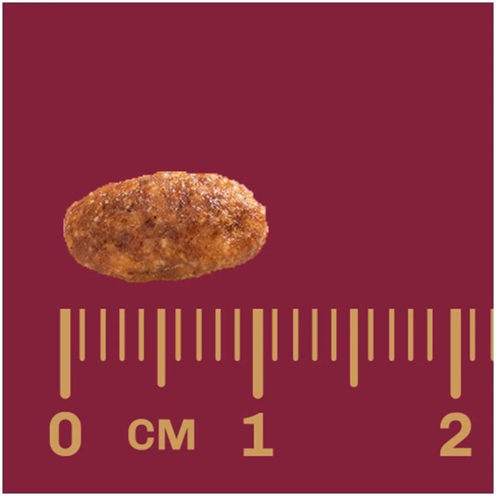 Miniatura Ração Gran Plus Frango e Arroz para Gatos Adultos - 10,1 Kg