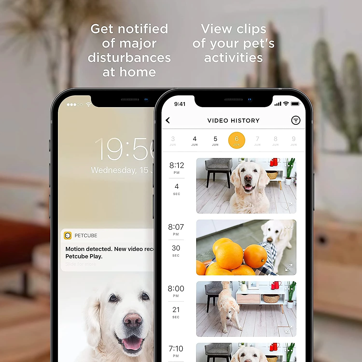 Petcube Câmera WiFi Remota 1080p com Dispensador de Petiscos Branco