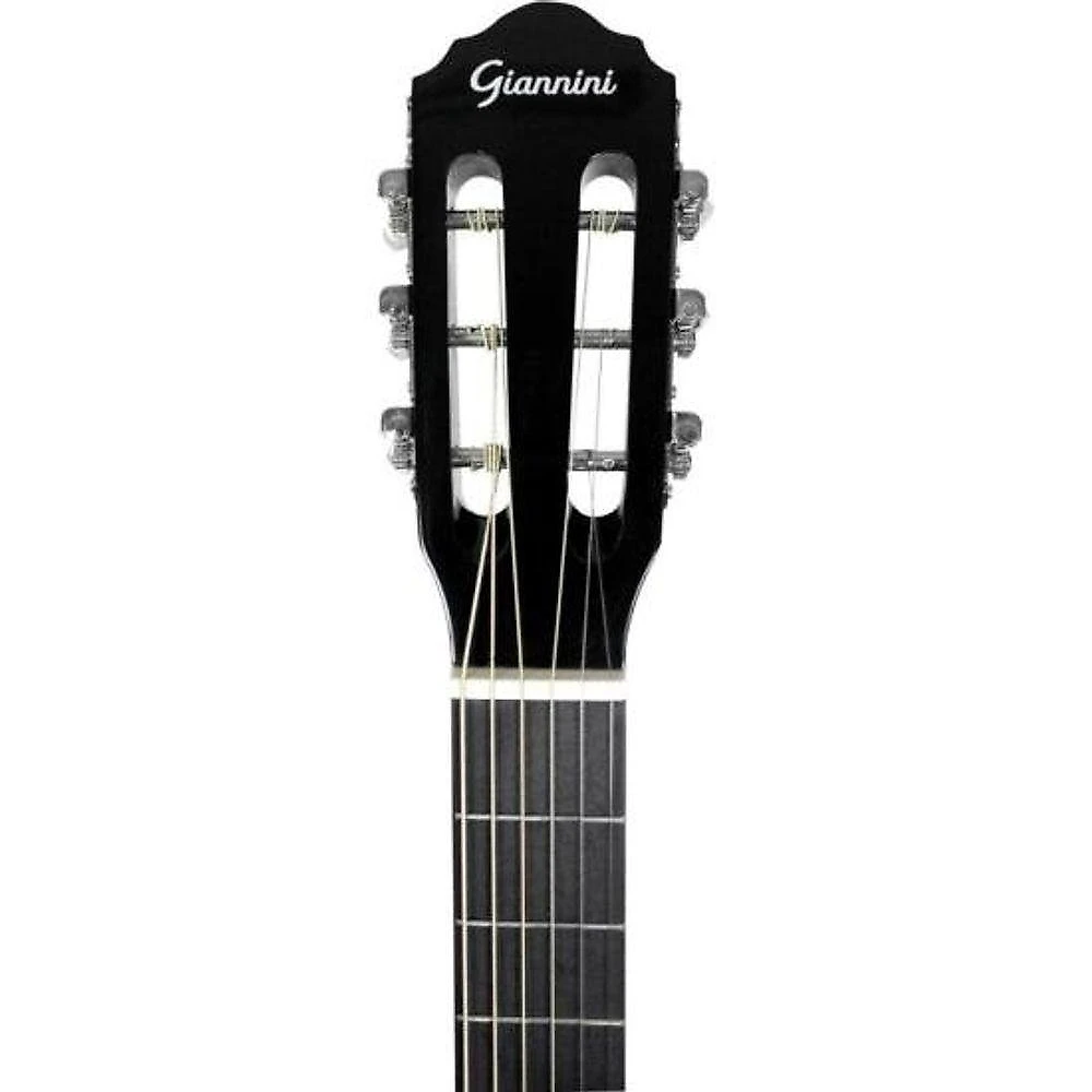 Violão Giannini S14 Acústico Aço Acústico Preto [f002]