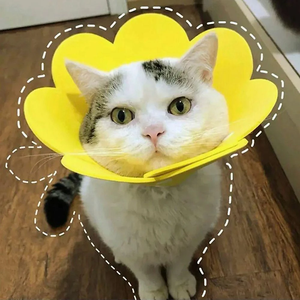 Colar Elizabetano Leva Pra Casa SU-ZABE1 Gato Caes Amarelo 12g