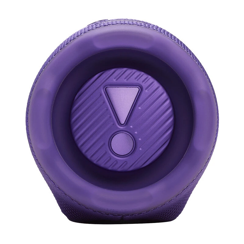 Caixa de Som Bluetooth JBL Charge 6 Roxa