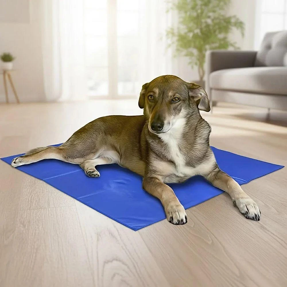 Tapete Refrescante Lorben Gel Auto-enfriamento Azul 90X50CM 1 Unidade