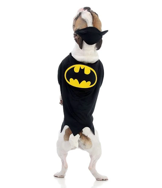 Capa Batman p/ Cachorro - Liga da Justiça