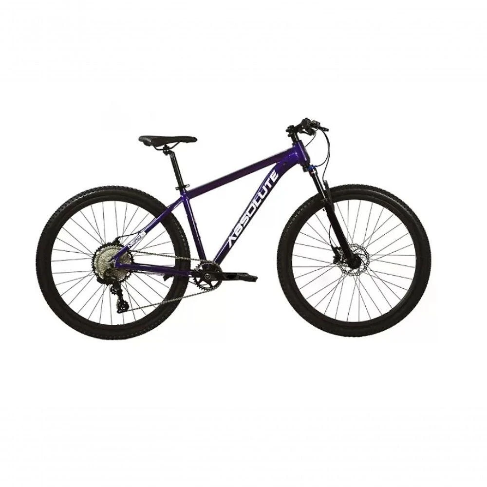 Bicicleta Aro 29 Absolute Nero 5 12v Garfo Trava No Guidão Freios Hidráulicos Roxo Tam 13