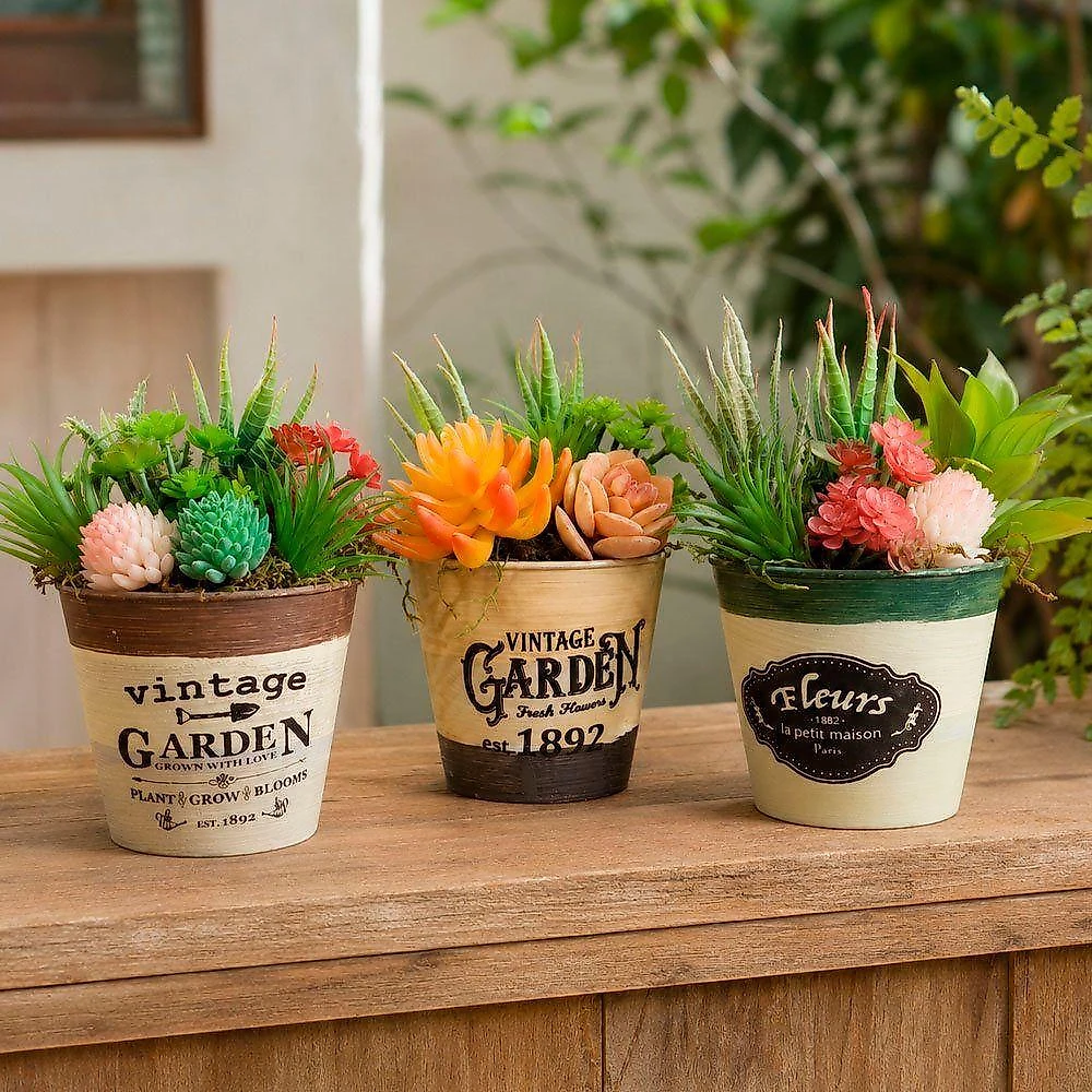 Arranjo Vaso Decoração Suculenta Planta Artificial Verde