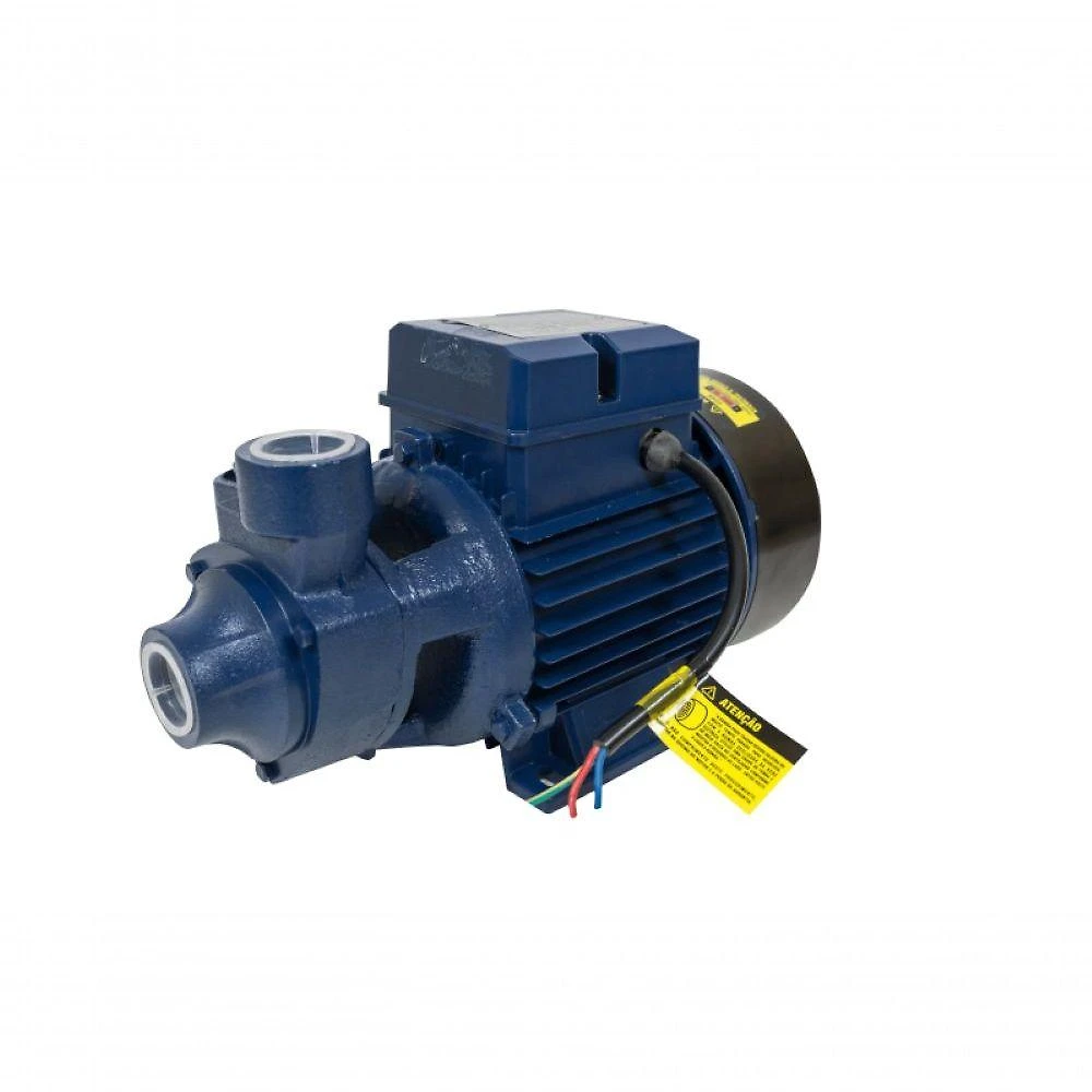 Motobomba Periférica 1cv 60hz Bivolt Ics-100ab Eletroplas