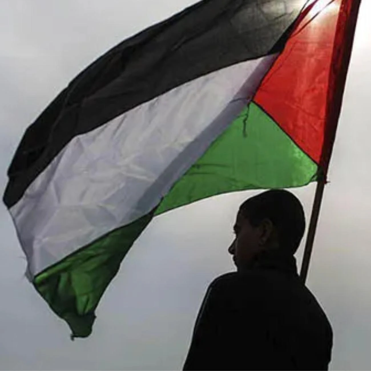 Miniatura Bandeira Palestina 1,5m x 0,90cm Poliéster Acetinado