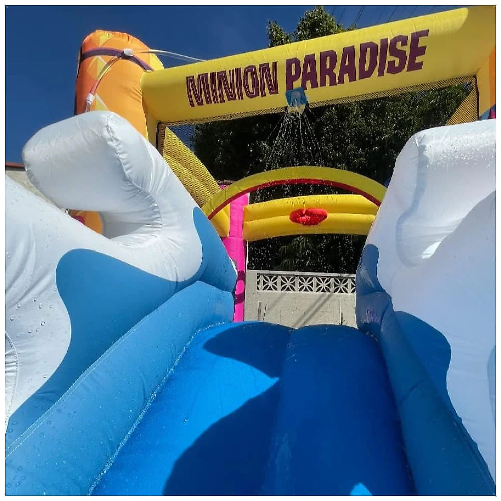 Pula Pula Inflável dos Minions com Escorregador, Toboágua, Canhão de Água e Piscina de Bolinhas para Crianças, Funormous, Colorido 110v