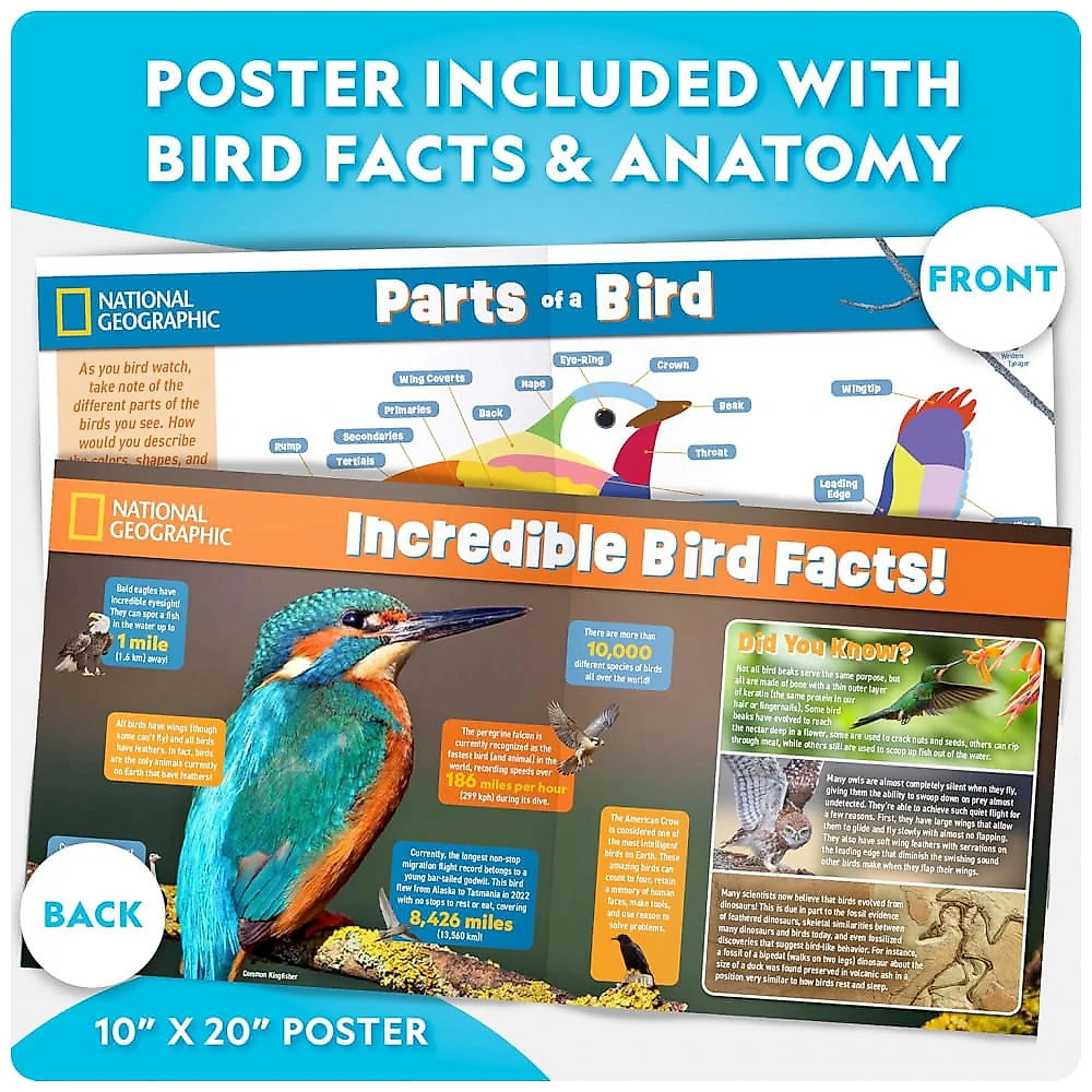 Build Your Own Bird Feeder Kit Multicolor – Casa‑de‑Pássaros DIY em Madeira com Pintura, Diário de Observação e Pôster Educativo, National Geographic