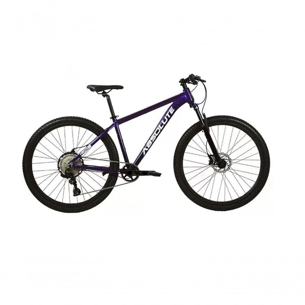 Bicicleta Aro 29 Absolute Nero 5 12v Pedivela Single Freios Hidráulicos Garfo C-trava K7 11-50d Roxo Tam: 19