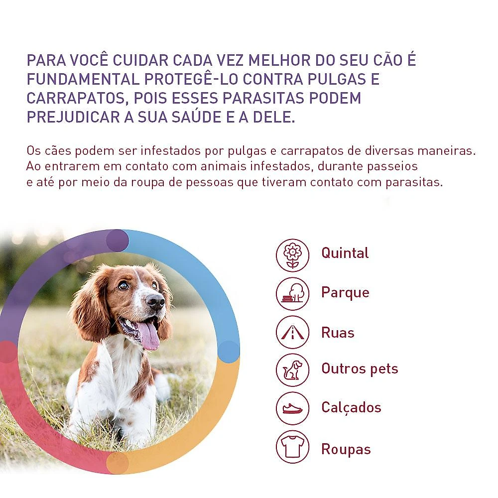 Antipulgas e Carrapatos MSD Bravecto para Cães de 2 a 4,5 Kg - 112,5 mg