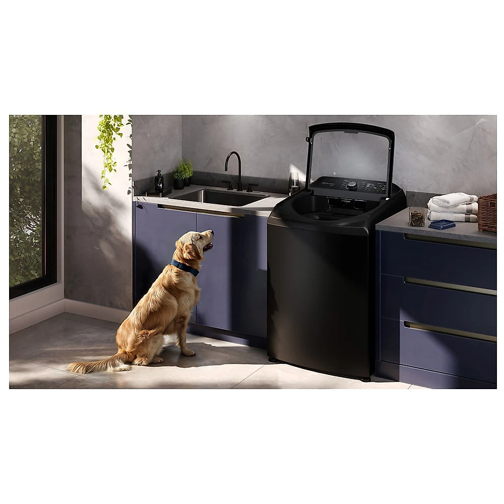 Máquina de lavar Electrolux 18kg Preta Expert Filtro Microplásticos, Jatos Poderosos e Pet Pro (LEB18) - 220V 220