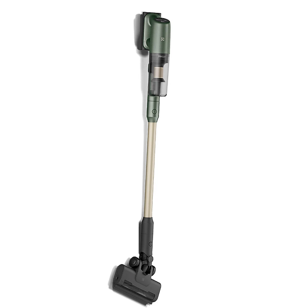 Aspirador de Pó Vertical sem Fio Electrolux Ergorápido Verde Linha 100 Anos Celebre Bem-Estar - PTEC200 Bivolt
