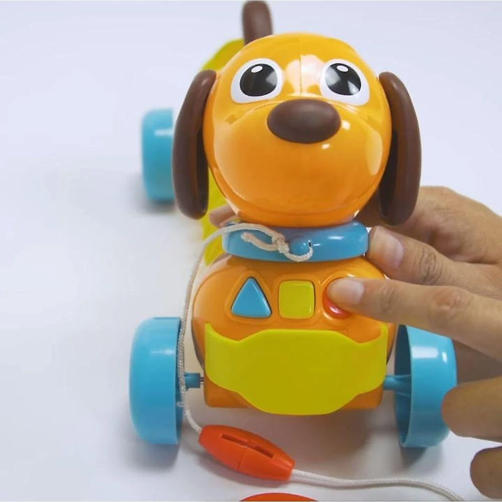 Toto Sanfona - Zoop Toys