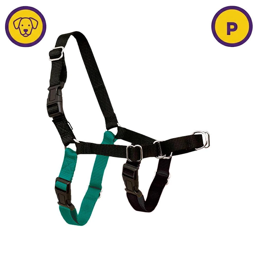 Peitoral easy antipuxão preto e verde para cães tam p - amicus