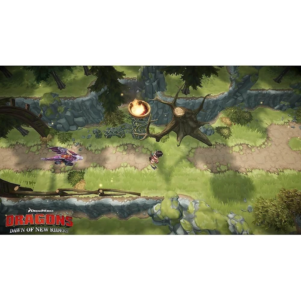 Jogo Dragons Dawn Of New Riders - Para Nintendo Switch