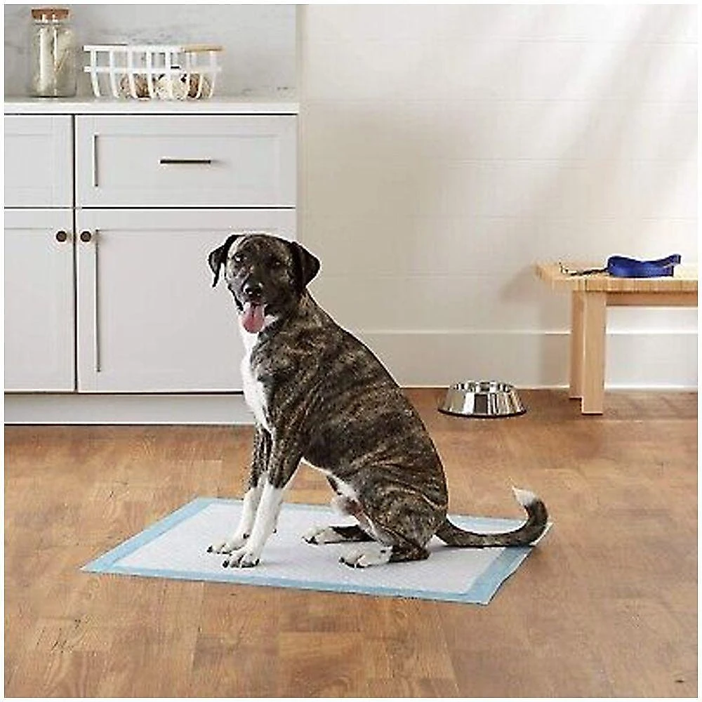 Tapete Higienico Cao Pet Cachorro 60x90 20 Unidades Animal De Estimaçao Antivazamento Treinamento Adestramento