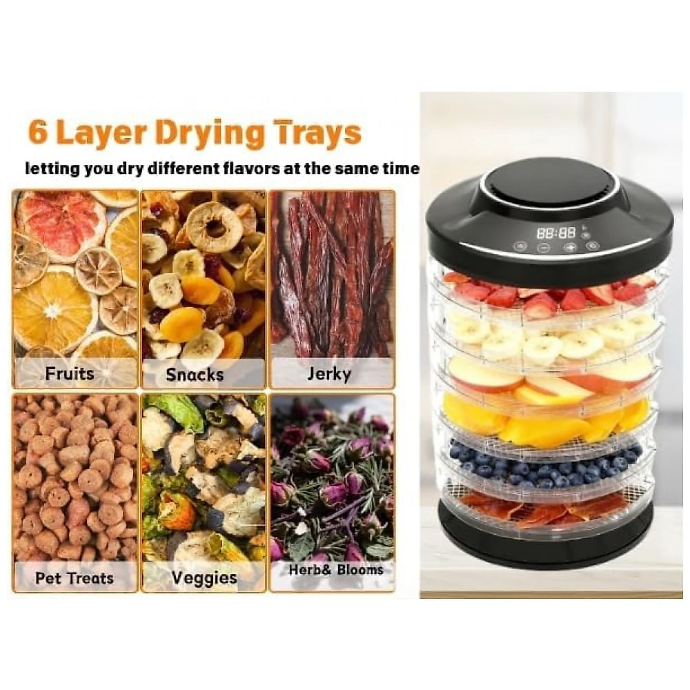 Desidratador de Alimentos Lszy Preto 6 Bandejas Timer 24H 600W 120V