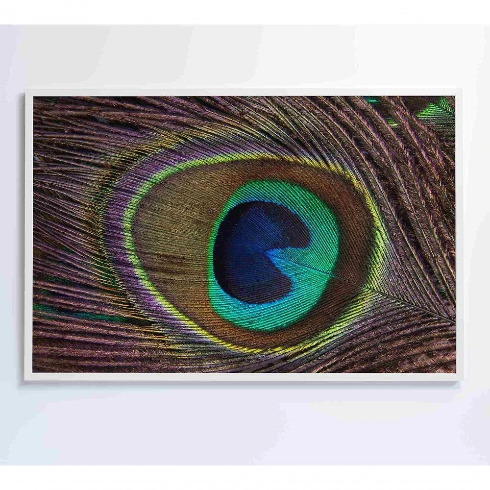 Quadro Penas De Pavão 120x80 Cm Adesivo Fotográfico