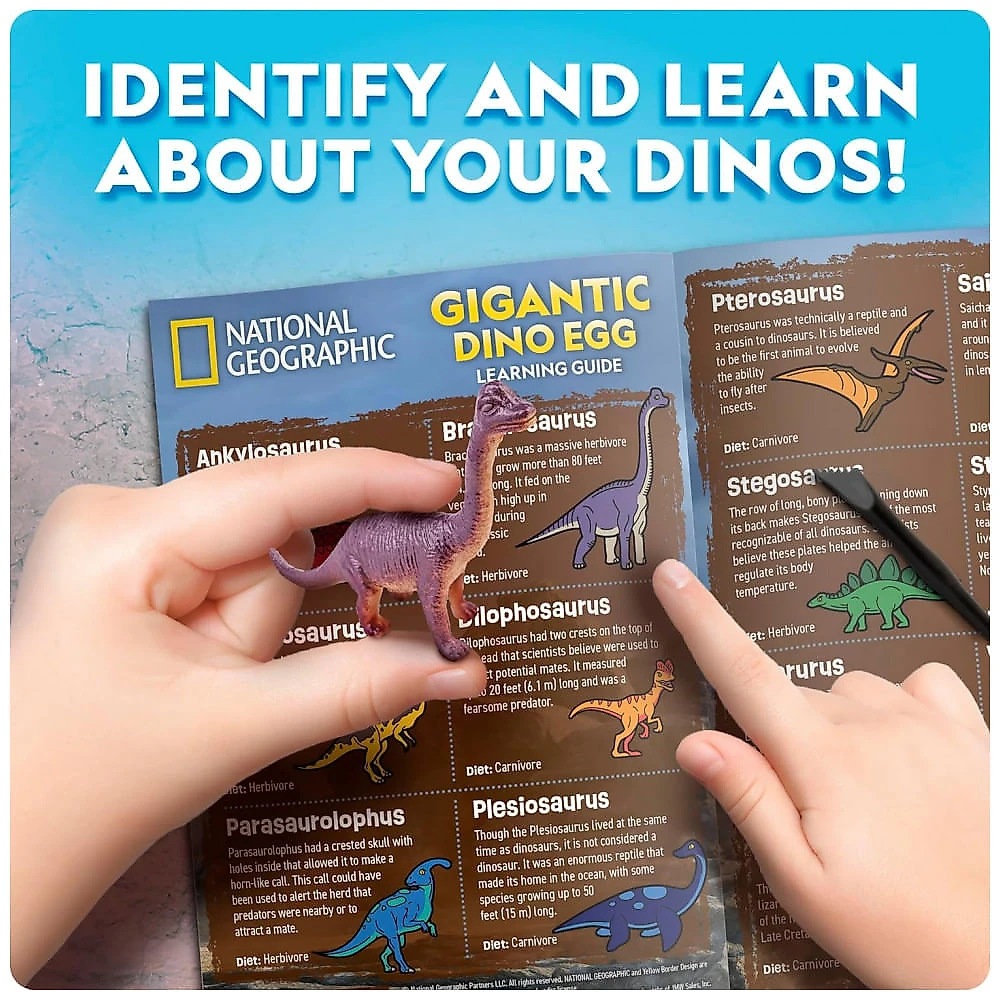 Kit de Escavação Ovo Gigante de Dinossauro – Brinquedo Educativo STEM, Presente Criativo para Crianças, National Geographic
